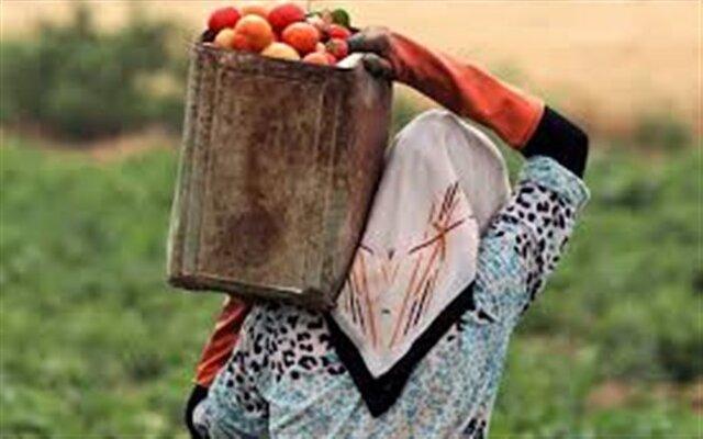 ضرورت آموزش زنان روستایی برای فراوری محصولات سالم