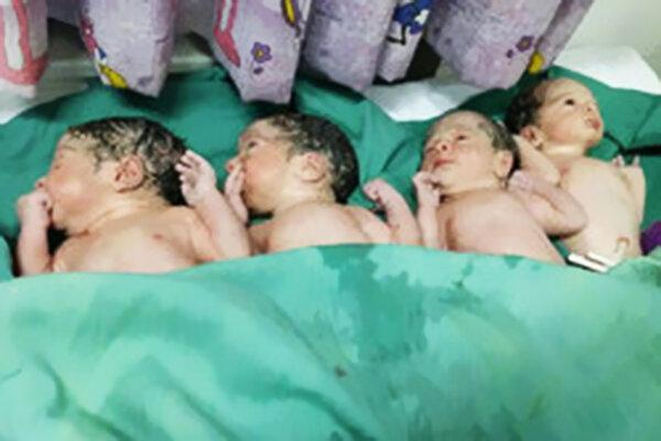 تولد نخستین 4 قلوی سال در زنجان ، حال مادر و 4 پسر خوب است