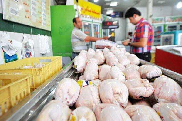 فصاحت: تا 10 روز آینده نوسانات قیمت مرغ در تهران برطرف می شود