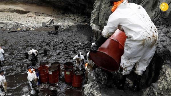 تهدید حیات دریایی پس از نشت نفت در پرو