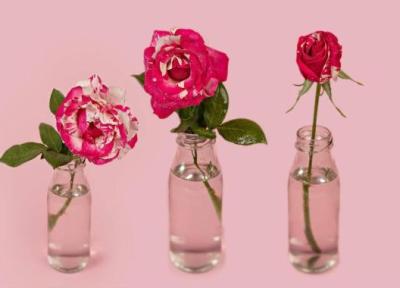 10 ترفند طلایی برای نگهداری از شاخه گل بریده