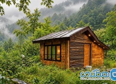 چرا اقامت در کلبه های کوچک جنگلی برای طبیعت گردها جذابتر شده است؟